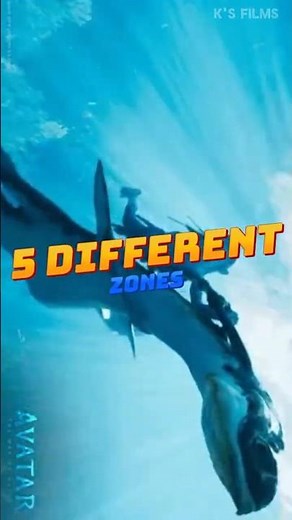 Ocean Depths Explained: Amazing Animals by Sea Levels 🌊🐠