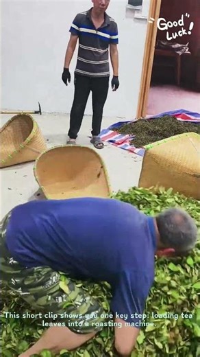 How Tea is Made: Inside a Tea Factory