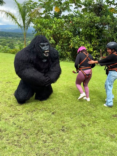 Diversión y aventura en Din Kong Resort Park