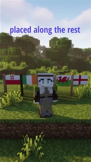 Adding flags to Minecraft! P6!
