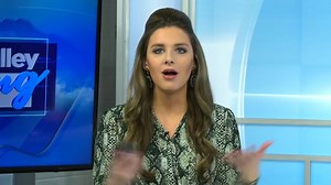 Let the good times roll in Downtown Decatur, Alabama! The Carnegie Visual Arts Center invites you to a day of Mardi Gras themed events culminates with the Drive-Thru Carnegie Carnival Parade. See colorful crewes and floats, enjoy local music, and get your own bag of throws!  Watch the Tennessee Valley Living Exclusive now https://bit.ly/3tNgdLX | WAFF 48 News | Facebook