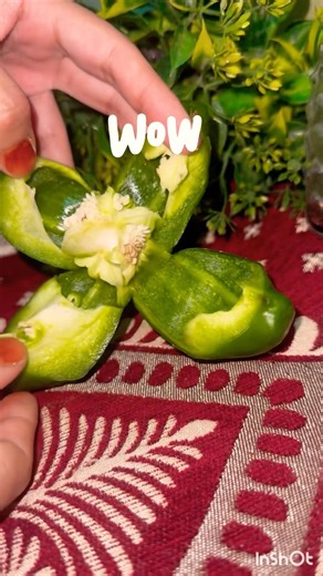 Amazing capsicum cut hack#shorts #lifehacks #shortsfeed #youtubeshorts #tips