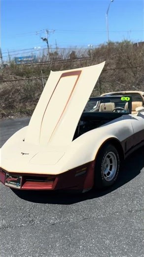 1981 Chevy Corvette for sale