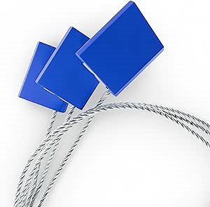 Amazon.com: 100 Steel Security Cable Security Tag Numbered | 7.1"(180mm) Tamper Proof Seals ISO 17712 | Tamper Seal Container Seals C-TPAT | Truck Seals Truck Trailer High Security Seals, Blue : Industrial & Scientific