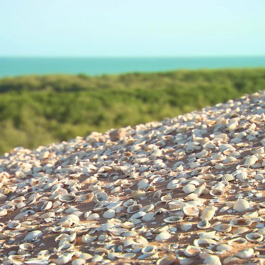 1.6K reactions · 250 shares | Experience some of Western Australia's most amazing natural attractions with the custodians who've cared for them for more than 50,000 years. | Western Australia | Facebook