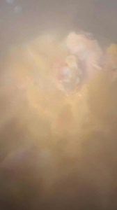 63 reactions · 19 comments | Doc 5 min chicken and dumplings recipe let’s get into it奈 | Lynn Williams | Facebook