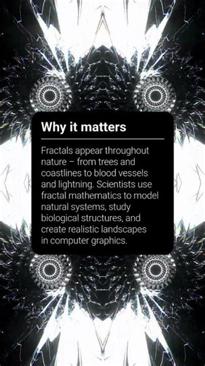 Word of the Week: Fractal – The mathematical patterns hidden in nature
