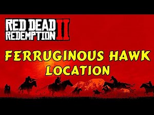 Red Dead Redemption 2 - FERRUGINOUS HAWK location