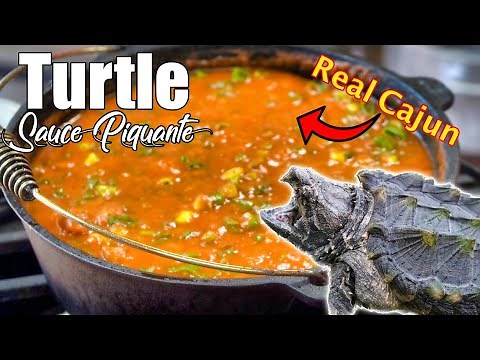 Turtle Sauce Piquante Recipe