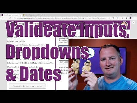Power Apps Validate Input - Dropdowns, date pickers, and Text Input validations
