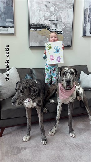 So easy and so cute 🥹 I love when the dogs can be included in a holiday keepsake💘 Should I add all of their names to each handprint too? #valentinesday #valentinesdaycrafts #kidscrafts #momsoftiktok