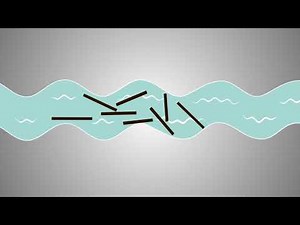Polymer Materials: Molecular Chains