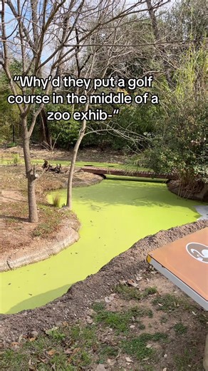 Exploring Unusual Zoo Exhibits and Golf Courses