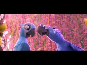 Rio 2 ~Blu Dream Scene
