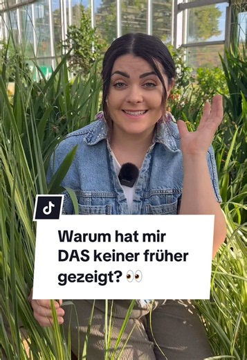 Rutenhirse Northwind: Privatsphäre auf Balkon & Terrasse