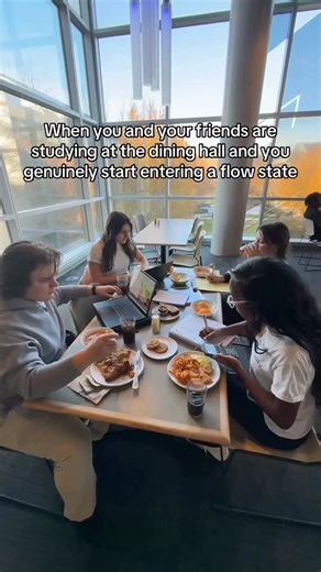 Towson Hospitality on Instagram: "Perfect study spot for finals😌 #tutigerhospitality #studyspot #reel"