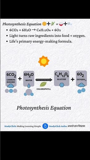Photosynthesis Equation