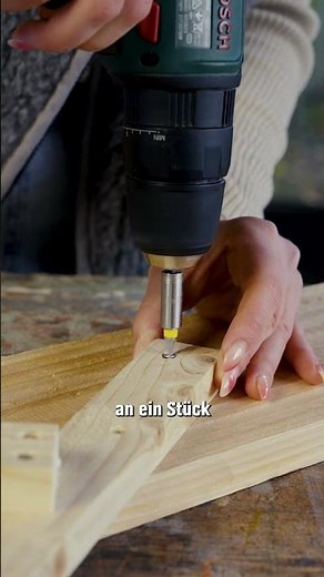 Curtain up for Rudolf! 🦌🧡