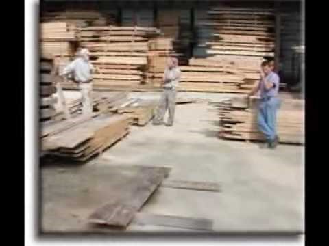 Erik Erikson's 8-stages Hoedown