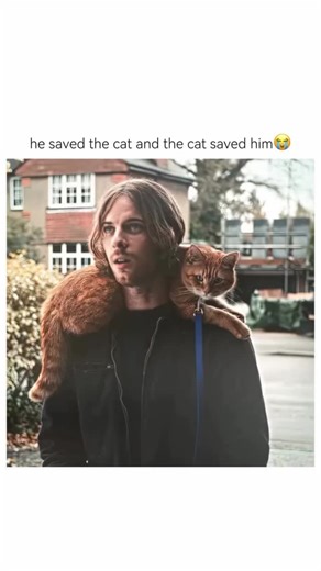 filmfunda on Instagram: "he saved the cat and the cat saved him 😭 Credit: unknown 🎥: A Street Cat Named Bob is a 2016 British biographical drama film based on the true story of James Bowen, a struggling street musician and recovering drug addict whose life takes a remarkable turn after meeting an injured stray cat. Directed by Roger Spottiswoode, the film stars Luke Treadaway as James, who finds the ginger cat in his apartment building and nurses him back to health. Naming him Bob, James begin
