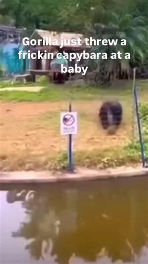 Harambe vs Capybara part 2 is out 👀 #harambe #aot #kungfupanda #capybara #draw #manga #akknight | AK Knight