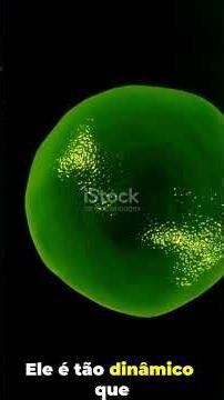 Cytoplasm and Cytoskeleton - The Secret of the Cell - #curiousuniverse #cytoplasm #cytoskeleton