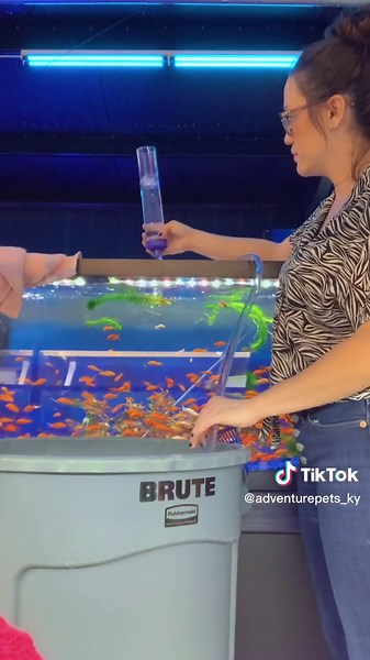 Easiest way to get a gravel vacuum going. NO more sucking on your hoses people 😂😂 #gravelvacuum #waterchange #howto #fishtank #fishstore #howyoudoit