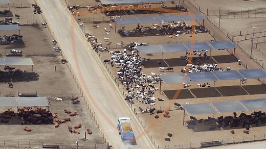 We are the legal voice for animals. The Animal Legal Defense Fund files high-impact lawsuits to protect animals from harm, provides free legal assistance and training to prosecutors in their fight against animal cruelty, supports animal protection legislation, and provides resources and opportunities to law students and professionals to advance the field of animal law. Join us by making a donation today at aldf.org/donate. With your support, we can win animals the legal protection they so desper