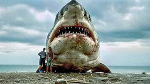 Terrifying Creatures Bigger Than The Megalodon That Won't Stop Growing | Most Amazing Top 10