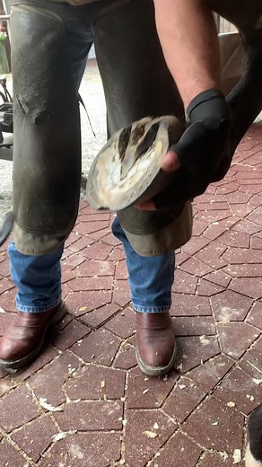 hhewitt265 on TikTok