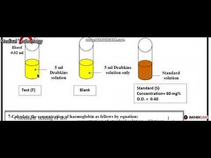 Haematology Hb Drabkin method Lec2 Part 3