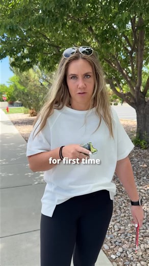 The Doodle Tribe | Bernedoodle Puppies & More on Instagram: "Not all doodles are created equal—for first-time owners, that matters. Aussiedoodles and Labradoodles? Brilliant, but high-octane. They’re working dogs in a doodle disguise—smart, driven, and a lot to handle without the right structure. If you’re new to dog ownership, consider a Bernedoodle instead. Gentler temperament. Lower energy. Family-ready from day one. It’s not about the “cutest” breed. It’s about the right fit. #DoodleFacts #F