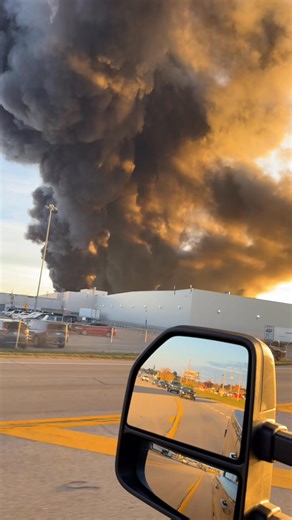 Joseph Cotton on Reels