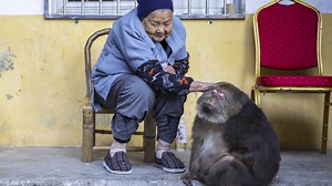 Xing Xing The One-Armed Monkey | Know Your Meme