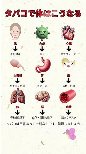 タバコを吸うと体はこうなる #タバコ #禁煙 #喫煙 #健康情報 #肺健康 #血管健康 #健康管理 #生活習慣 #禁煙チャレンジ #健康習慣