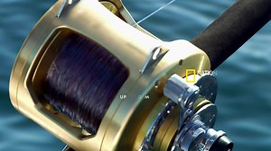 19K views · 377 reactions | They've come so far, and there's no turning back now. A new episode of Wicked Tuna airs tonight at 9/8c on National Geographic. | Wicked Tuna | Facebook