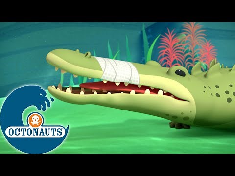 Octonauts - Les crocodiles marins et les lamantins | Dessins animés pour enfants