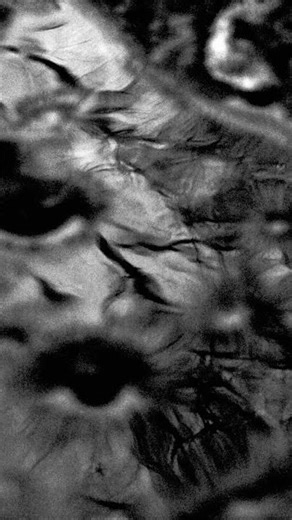 02026.03.08 Camgymeriadau? Mistakes?