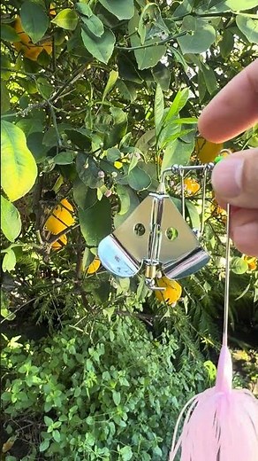 New Product Drop | The Buzzsaw Buzzbait