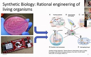 Thesis Defense: Design Requirements and Scaling of dynamic CRISPRi Circuits