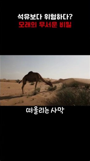 More Dangerous Than Oil: The Scary Secret of the Sand We Walk On Every Day #history #correctinghi...
