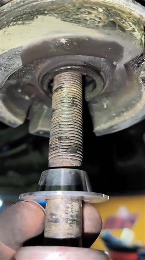 Magic Collar on Reels