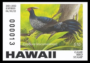 2021-2022 Game Bird Hunting Season Opens Nov. 6 | Maui Now