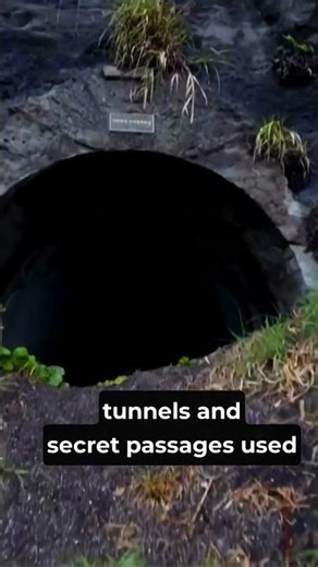 Jeju Island’s Secret WWII Kamikaze Bunkers #history #japaneseisland #construction #shorts