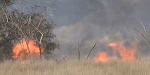 Wildfire Awareness Month: Here’s what you can do to prevent brush fires