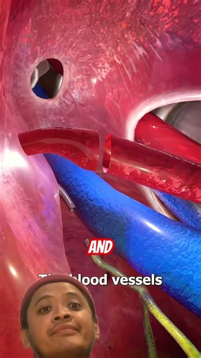 Inside a Liver Transplant #guess