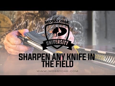 Fastest Way To Sharpen Any Knife In The Field