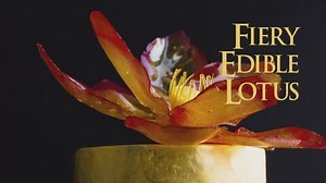 30K views · 588 reactions | Teaser for my latest YouTube cake tutorial! edible lotus flower - representing "man's red flower" from the Jungle Book! https://ashleemarie.com/isomalt-lotus-fiery-red-flower/ | Ashlee Marie | Facebook