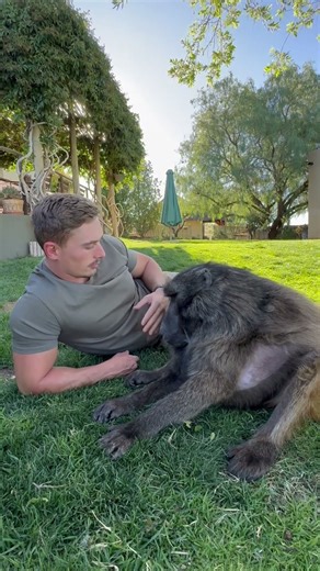 A unique bond 🥹❤️ #animalshorts