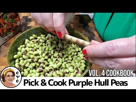 Pick and Cook Fresh Purple Hull Peas Recipe Tutorial with CVC